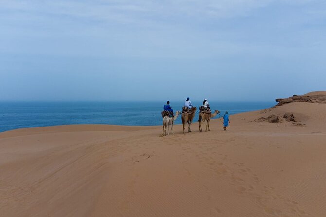 Agadir Sand Dunes and Camel Ride in Tifnit with Lunch - The camel ride in the Agadir sand dunes: what to expect
