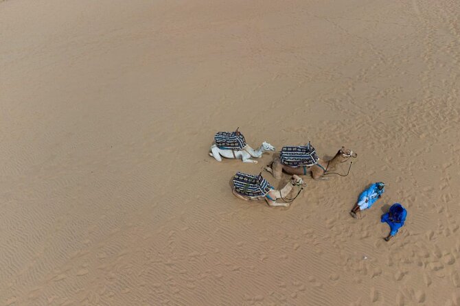 Agadir Sand Dunes and Camel Ride in Tifnit with Lunch - Timing and pacing: how to plan your day in Agadir