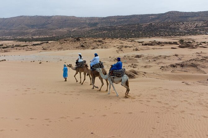 Agadir Sand Dunes and Camel Ride in Tifnit with Lunch - What you actually get for $114.98: lunch, tea, and camel time
