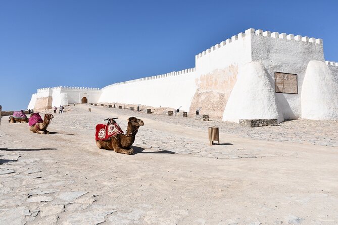 Agadir Sightseeing & Medina Polizzi Discovery - How the guides and the private pace shape the experience
