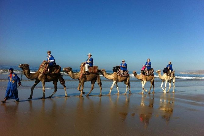 Agadir Sunset Camel Ride with Delicious Couscous & Barbecue - Key things you’ll notice on this Agadir sunset camel ride