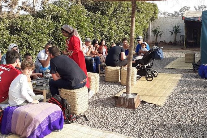 Agadir Sunset Camel Ride with Delicious Couscous & Barbecue - Who this Agadir sunset camel ride suits best