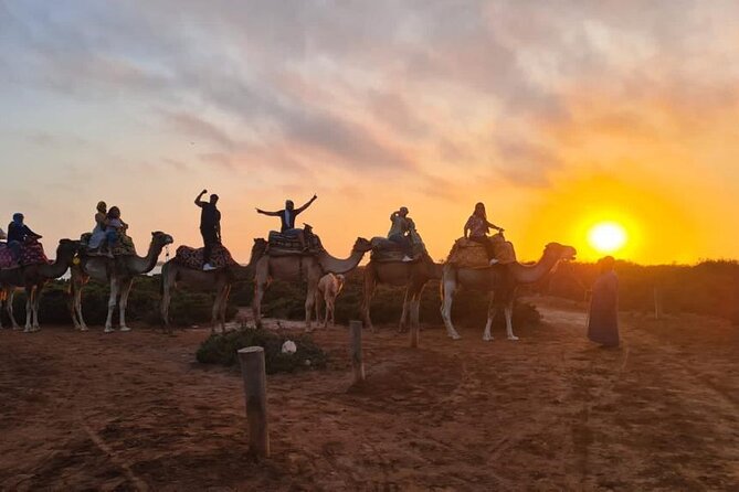 Agadir Sunset Camel Ride with Moroccan Barbecue & Hotel Transfers - Key things I’d plan around