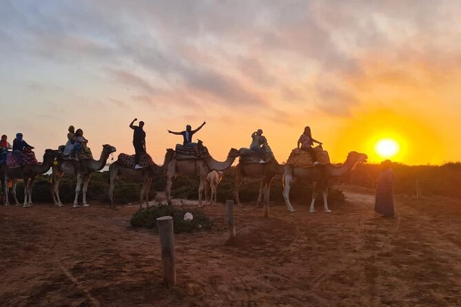 Agadir Sunset Camel Ride with Moroccan Barbecue & Hotel Transfers - Stop for Mint Tea, Moroccan Cakes, and Barbecue Dinner