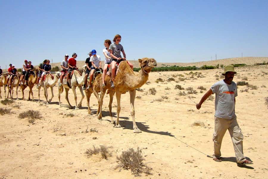 Agadir/Taghazout: Camel Ride with Tea Drink and Transfers - The mint tea finish: why this part matters