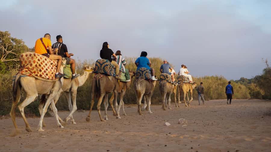 Agadir/Taghazout: Camel Ride with Tea Drink and Transfers - Price and value: what $21 buys you in real terms