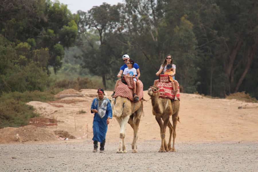 Agadir/Taghazout: Camel Ride with Tea Drink and Transfers - Should you book this camel ride in Agadir?