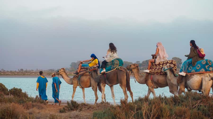 Agadir/Taghazout: Camel Ride with Tea Drink and Transfers - Transfers and IBN BATOUTTA TRAIL: the smoother start