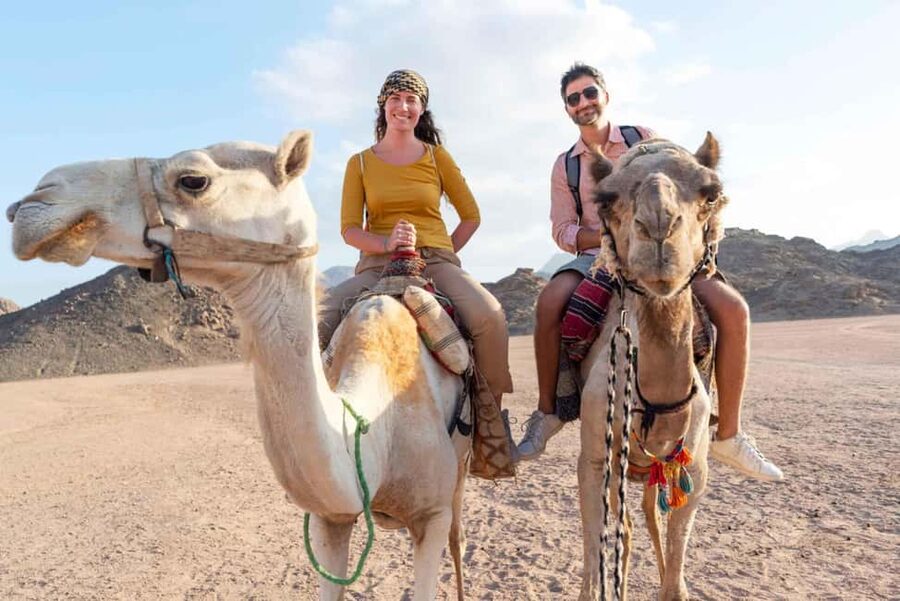 Agadir/Taghazout: Camel Rides with Tea Drink and Transfers - Who Should Book This Camel Ride, and Who Should Skip It