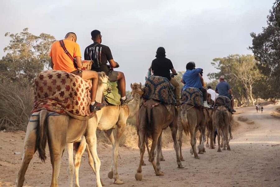 Agadir/Taghazout: Camel Rides with Tea Drink and Transfers - Camel Ride and Tea: What This Experience Feels Like