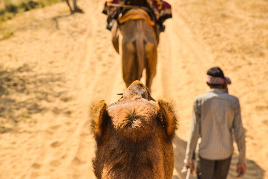 Agadir/Taghazout: Camel Rides with Tea Drink and Transfers - Guides and Staff: Friendly, Human, and Usually In Charge