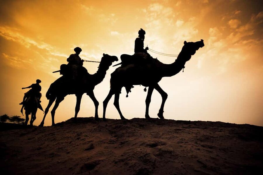 Agadir/Taghazout: Camel Rides with Tea Drink and Transfers - Price and Value: Is $22 Worth It in Agadir?