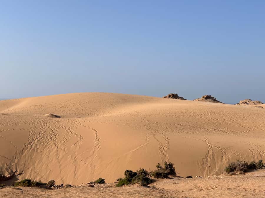 Agadir: Taghazout, Colorful village & Timlaline Desert Trip - Key things to know before you book