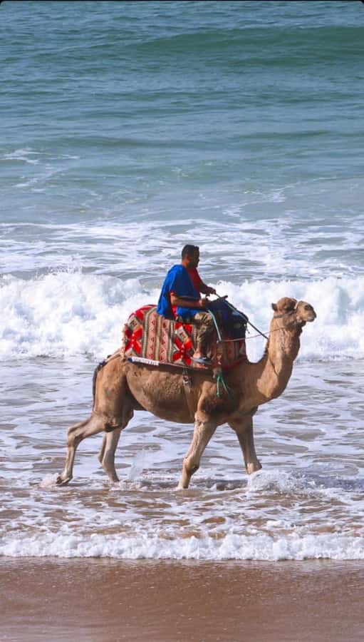 Agadir: Taghazout, Colorful village & Timlaline Desert Trip - Timlaline Desert dunes: free time plus optional adrenaline