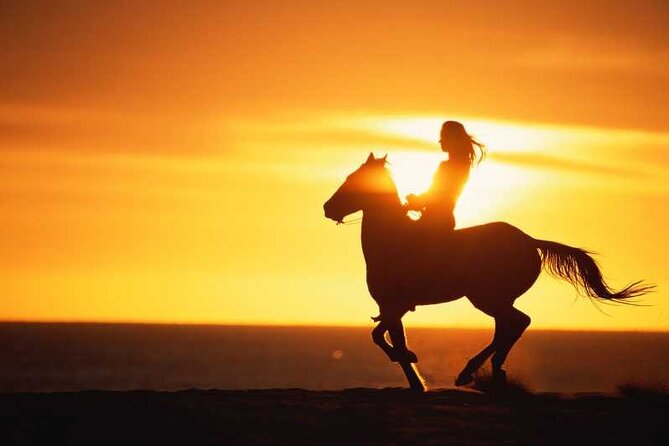 Agadir/Taghazout Horse Ride on the beach - Key highlights to know before you go
