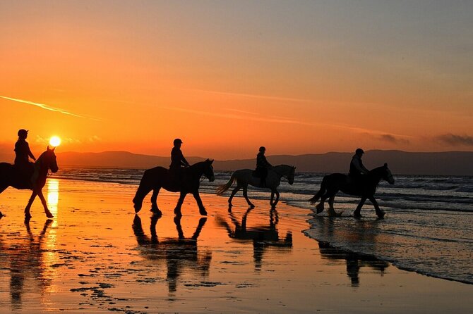 Agadir/Taghazout Horse Ride on the beach - Hotel pickup and the calm comfort of air-conditioned transport
