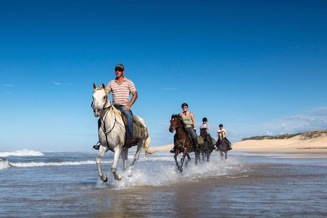 Agadir/Taghazout Horse Ride on the beach - Horses, safety, and “matching your level” (the part you should care about most)