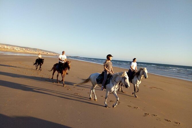 Agadir/Taghazout Horse Ride on the beach - Who this is best for, and the main considerations before you book