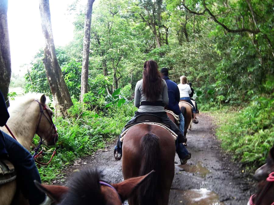 Agadir/Taghazout: Horse Rides Experience With Transfers - Agadir to the Saddle: What the 1 to 2 Hour Horse Ride Really Feels Like