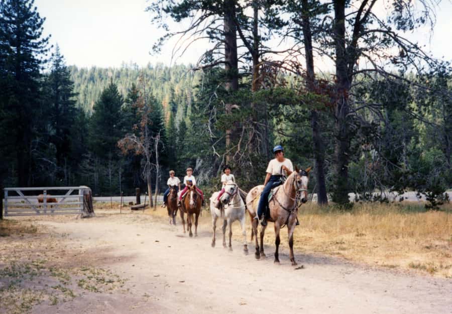 Agadir/Taghazout: Horse Rides Experience With Transfers - Should You Book This Agadir Horse Ride With Transfers?