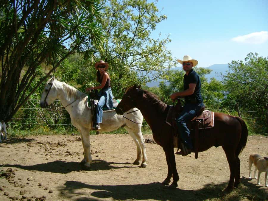 Agadir/Taghazout: Horse Rides Experience With Transfers - Getting Picked Up in Agadir and Taghazout (and timing you should double-check)
