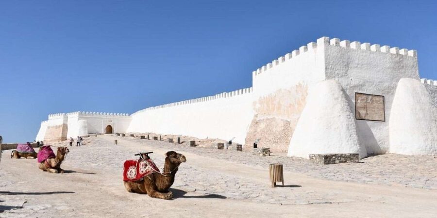 Agadir/Taghazout: Old Medina of Coco Polizzi and Agadir Tour - Argan Oil Factory: How to Learn, Then Shop Without Regret