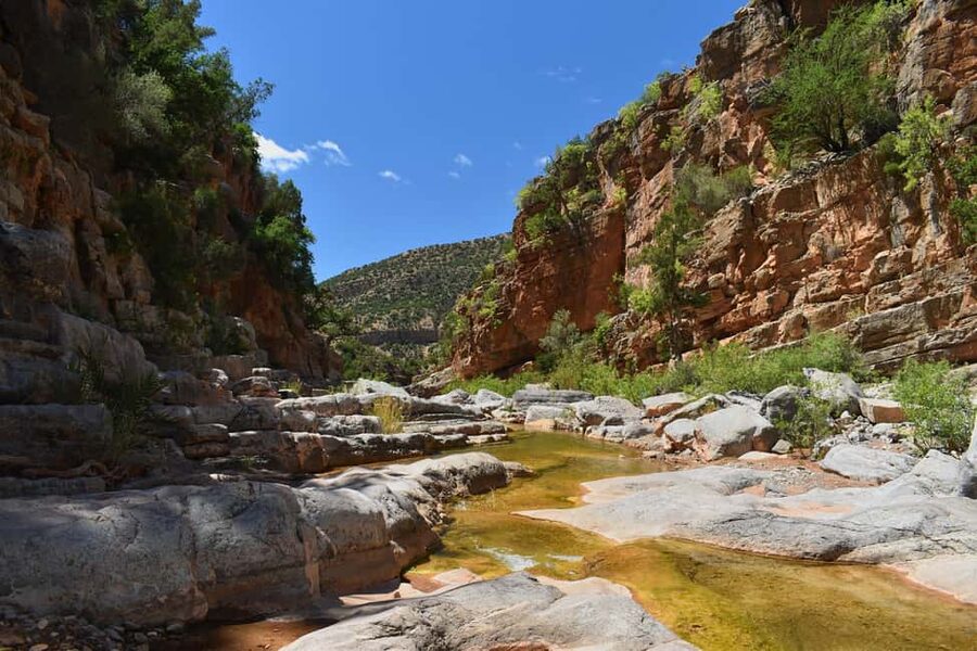 Agadir/Taghazout: Paradise Valley Atlas Mountains Trip - Lunch is optional, so plan your energy