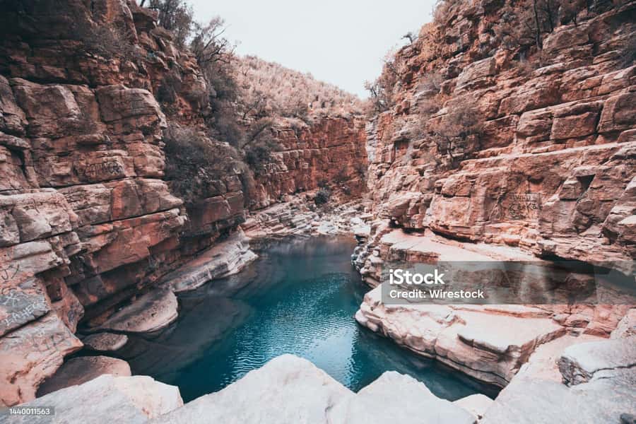 Agadir/Taghazout : Paradise Valley & Sandboarding with Lunch - Key highlights you will actually care about