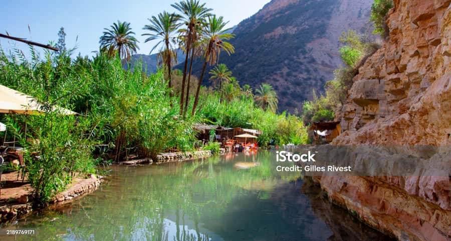 Agadir/Taghazout : Paradise Valley & Sandboarding with Lunch - Paradise Valley oasis: the reason people remember this trip