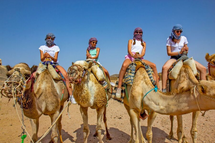 Agadir/Taghazout/Port: Camel Ride Tea & BBQ Option - Hotel Pickup to Camel Waiting Area by the River