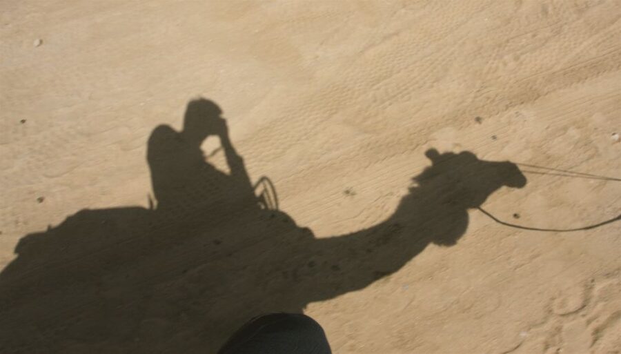 Agadir/Taghazout/Port: Camel Ride Tea & BBQ Option - Camel Time to the Flamingos, Sunsets, and Bird Watching