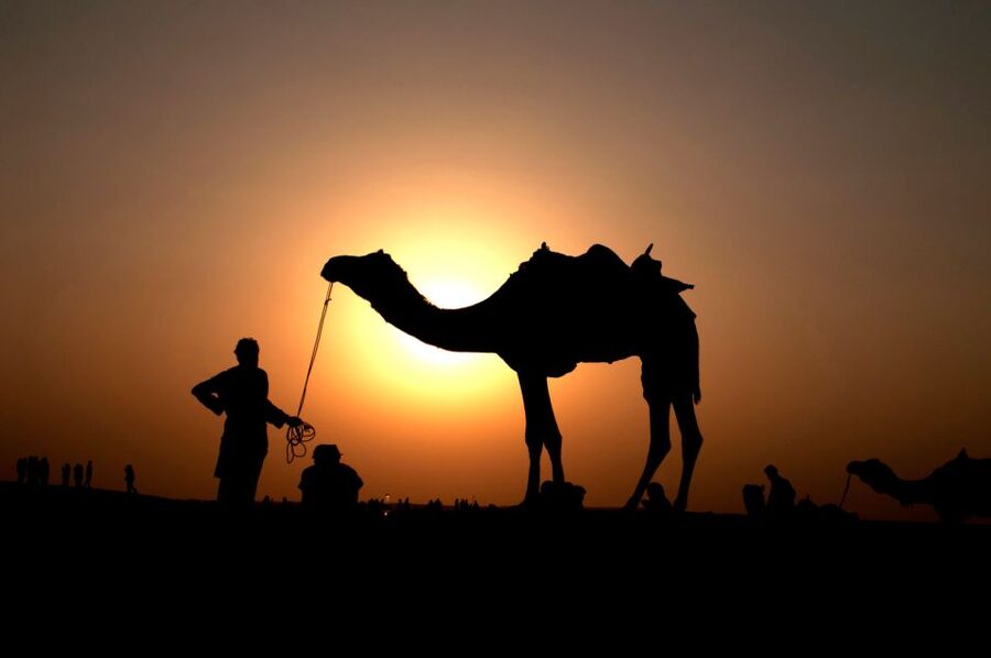 Agadir/Taghazout/Port: Camel Ride Tea & BBQ Option - Price, Comfort, and Animal Care, Is $22 Good Value?