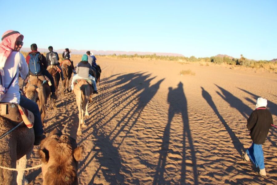 Agadir/Taghazout/Port: Camel Ride Tea & BBQ Option - Stories in Aghroud Bensergao and the Walk Toward Oued Sous