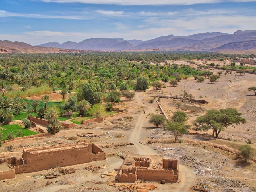 Agadir/Taghazout/Port: Paradise Valley Atlas Mountains Trip - Argan women’s corpora and the optional Botanic Garden stop