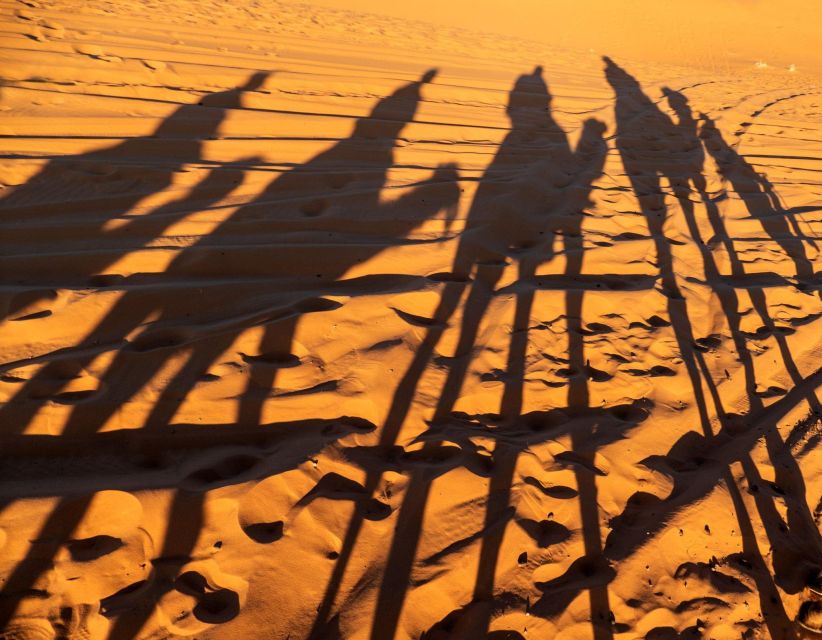 Agadir/Taghazout/Port: Sahara Desert 4x4 Day Trip with Lunch - Key highlights worth caring about