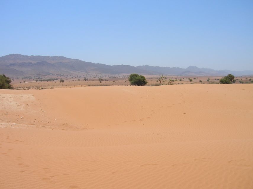 Agadir/Taghazout/Port: Sahara Desert 4x4 Day Trip with Lunch - 4x4 through dunes: fun off-road, short camel rides