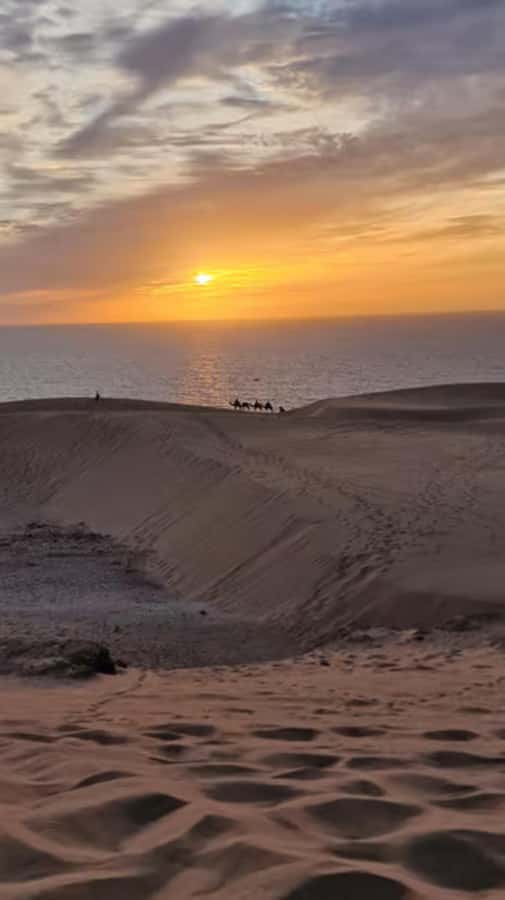 Agadir/Taghazout : Quad Bike & Camel Ride On The Beach - Itinerary feel: from pickup to Banana beach and beyond