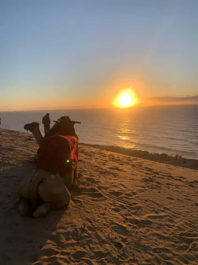 Agadir/Taghazout : Quad Bike & Camel Ride On The Beach - Best fit for beginners, families, and first-time riders