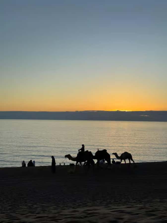 Agadir/Taghazout : Quad Bike & Camel Ride On The Beach - Should you book the Agadir and Taghazout Quad Bike and Camel Ride?