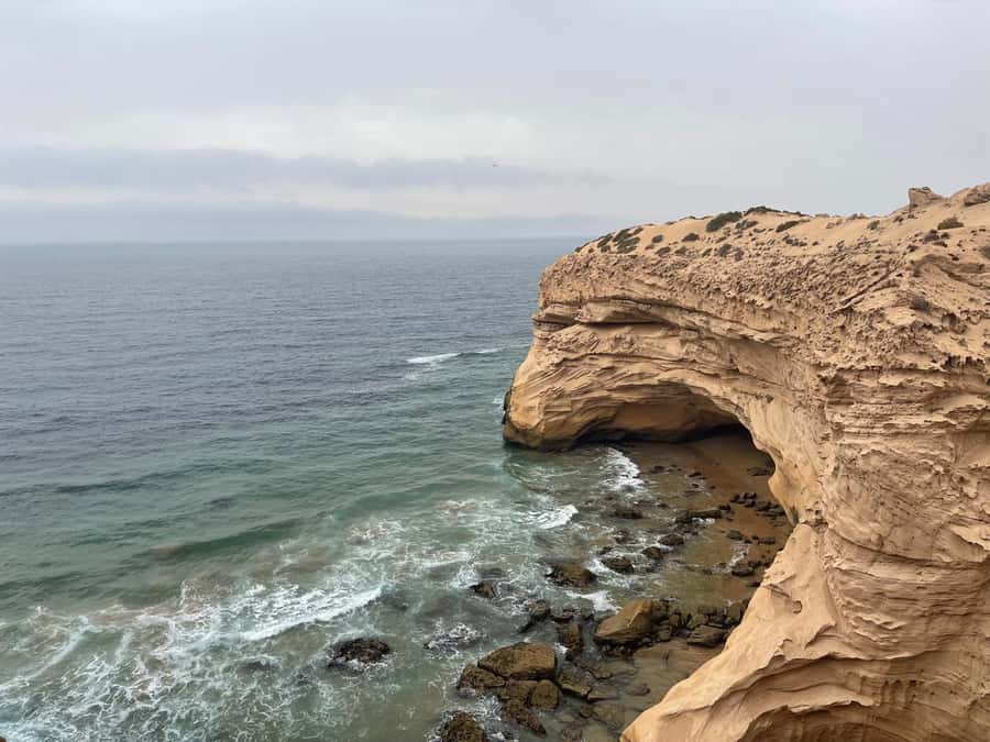 Agadir/Taghazout : Sandboarding & Sunset Camel Ride with BBQ - Sunset camel ride in nomad attire, ocean view and golden light