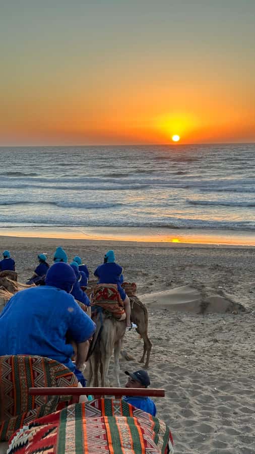 Agadir/Taghazout : Sandboarding & Sunset Camel Ride with BBQ - Price and what you get for $61 per person