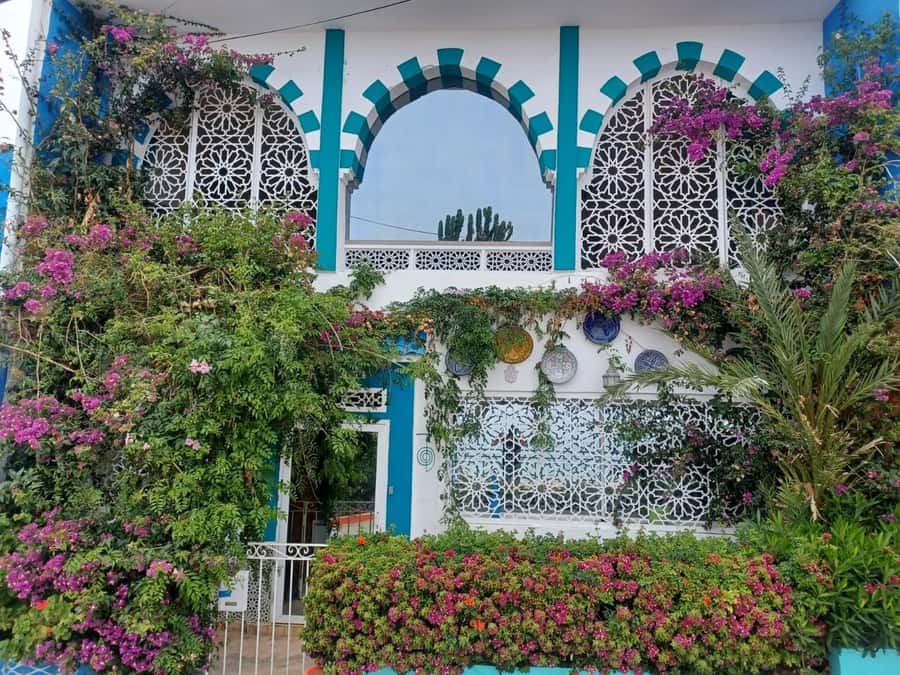 Agadir/Taghazout: Sandboarding & Visit of Canyons With Lunch - From Agadir and Taghazout to Timlaline Dunes: The Scenic Coast Drive