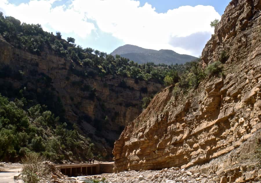 Agadir/Taghazout/Tamraght: Paradise Valley Best Tour - When Paradise Valley is a yes, and when it is a no