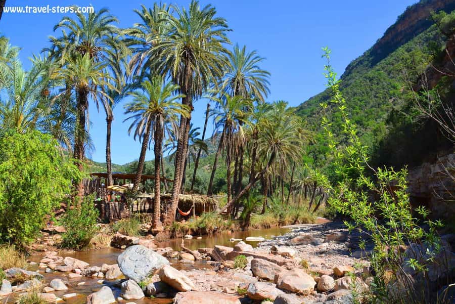 Agadir/Taghazout/Tamraght: Paradise Valley Best Tour - The botanic garden stop: tea, plant stories, and optional shopping