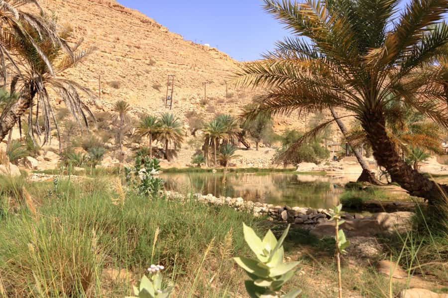 Agadir/Taghazout/Tamraght: Paradise Valley Best Tour - The 30-minute hike through streams and mountain gorges
