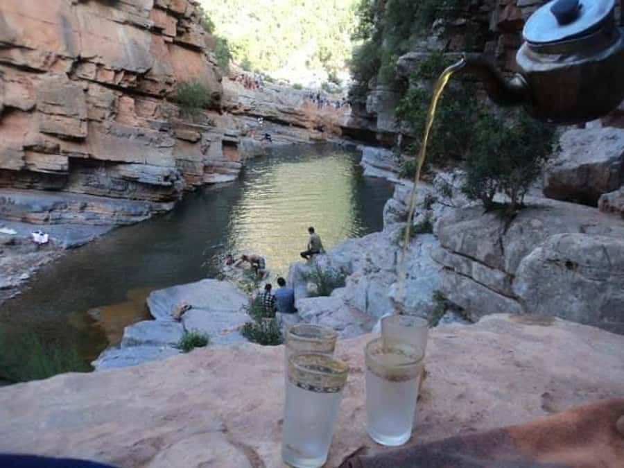 Agadir/Taghazout/Tamraght: Paradise Valley Best Tour - 8:30 AM pickup and the ride north from Agadir