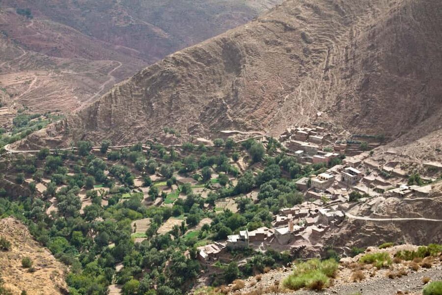 Agadir/Tamraght/Taghazout: Paradise Valley Atlas Tour - Key Things to Know Before You Go