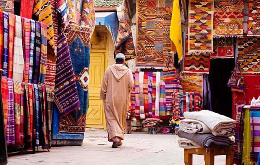 Agadir: Taroudant Oasis and Tiout Day Trip with Lunch Option - The goats and palms connection: a day of living landscapes