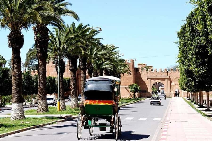 Agadir: Taroudant Oasis and Tiout Day Trip with Lunch Option - Guide quality, languages, and how to make the day feel smooth