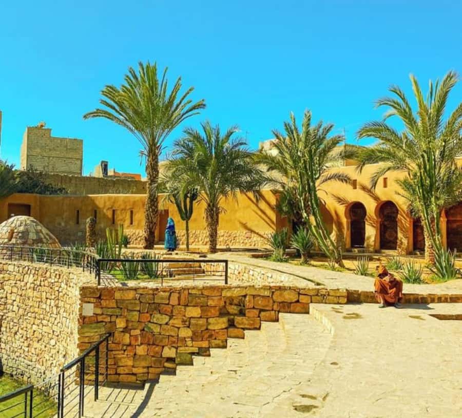 Agadir: Taroudant Oasis and Tiout Day Trip with Lunch Option - Price and value: why $51 can make sense for a one-day format